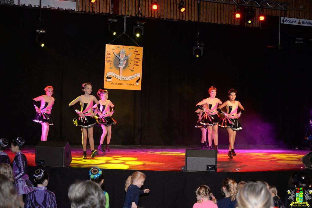../Images/Dansmarieke festival 2018 152.jpg